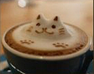漫猫咖啡加盟需要哪些条件？人人都可以加盟漫猫咖啡吗？