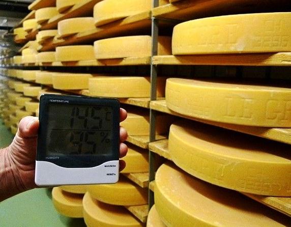 瑞士奶酪加盟