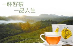 凤凰茶叶加盟信息介绍，让您创业先走一步！