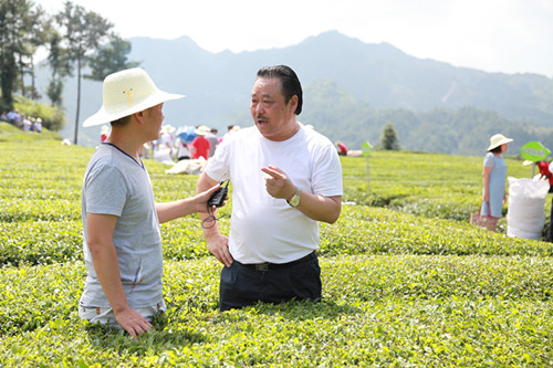 邓村绿茶的加盟优势有哪些？现在加盟晚吗？