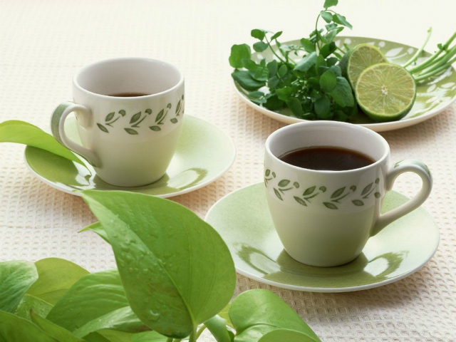 加盟上第茶叶有哪些优势，加盟上第茶叶品牌须知