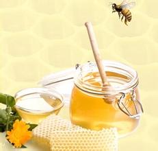 我要加盟喜马拉雅排蜂蜜，需要多少钱啊？