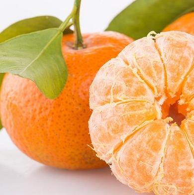 爱昕砂糖橘加盟，食品行业加盟首选，让您创业先走一步！