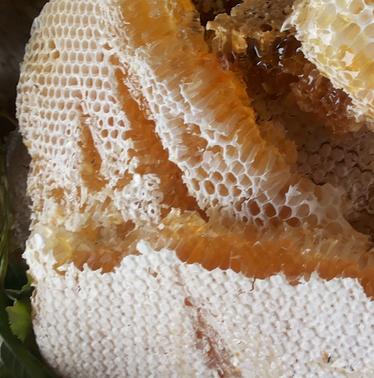 馨月蜂蜜加盟和其他食品加盟品牌有哪些区别？馨月蜂蜜品牌优势在哪里？