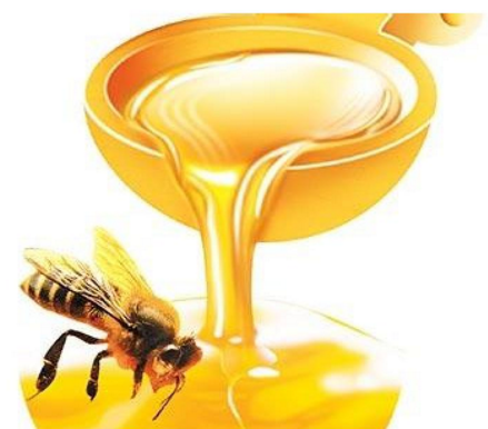 谷林蜂蜜加盟