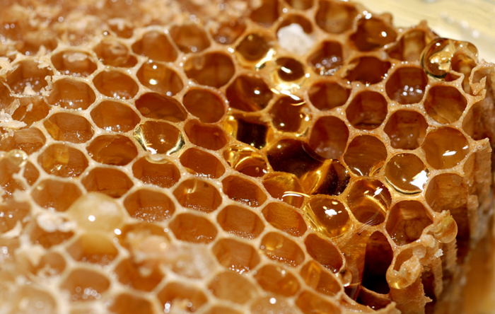 采蜜集蜂蜜加盟