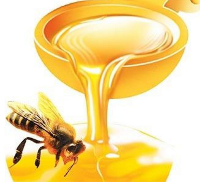 金永鹏蜂蜜加盟，零经验轻松经营好品牌！