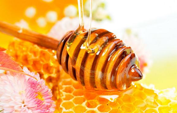 莎尼蜂蜜加盟，食品行业加盟首选，让您创业先走一步！