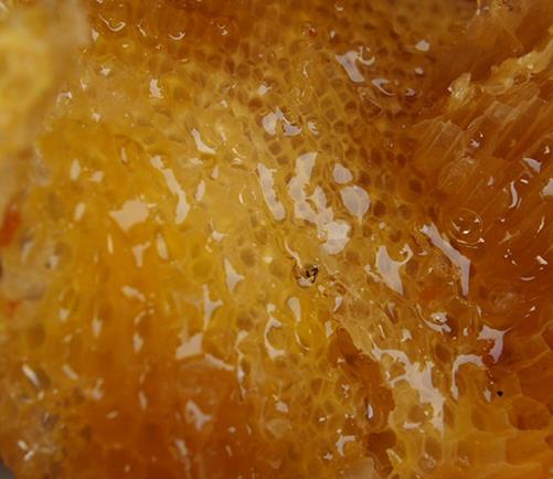 加盟翠碧春蜂蜜有哪些优势，加盟翠碧春蜂蜜品牌须知