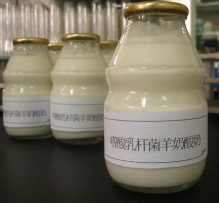 北京鲜羊奶加盟信息介绍，让您创业先走一步！