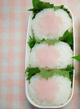 为什么要加盟浪漫樱花寿司？加盟浪漫樱花寿司值得吗？