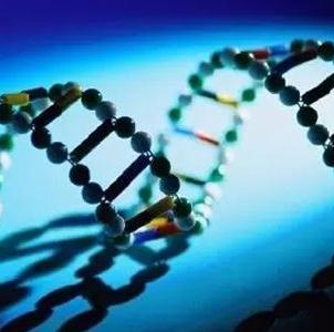 中科华美基因检测加盟