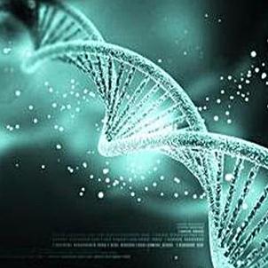 加盟中科华美基因检测有哪些优势，加盟中科华美基因检测品牌须知