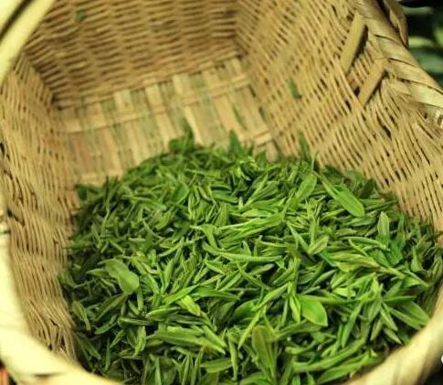 龙潭信阳毛尖茶加盟能给加盟商带来哪些优势？
