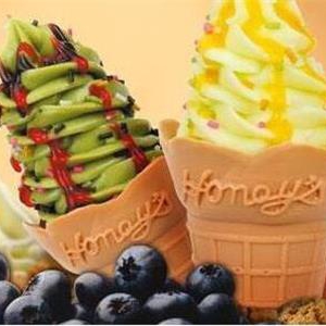 蒂米雪甜品冰淇淋加盟条件有哪些？加盟蒂米雪甜品冰淇淋的加盟商能否获取利润？