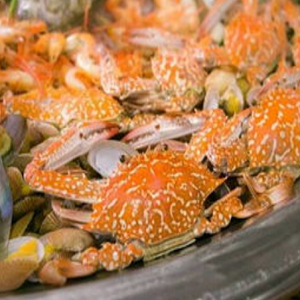 鱼羊虾蟹虾满堂火锅加盟