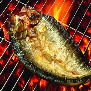 我要加盟莲年有鱼碳烤鱼，需要多少钱啊？