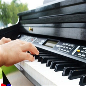 今年加盟沃尔特电钢琴可以吗？多少钱合适？