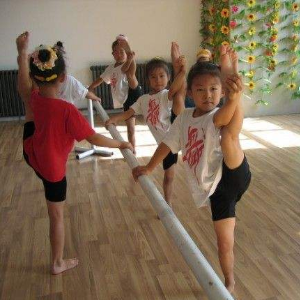 天艺舞蹈培训加盟