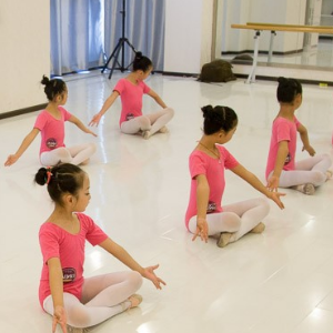 艺杨舞蹈培训加盟