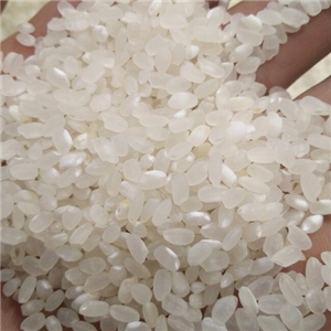 中稻稻米加盟