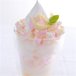 银女郎冰冻酸奶加盟能给加盟商带来哪些优势？