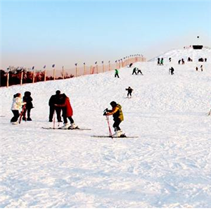 莲花山滑雪场加盟