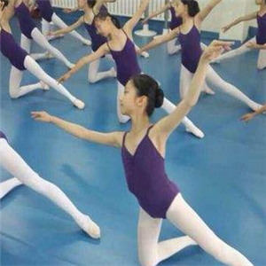 莫舞舞蹈艺术培训机构加盟