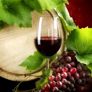 加盟酒韵行之葡萄酒你知道哪些优势？