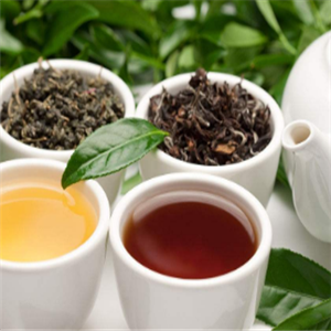 为什么要加盟茶叶坦洋茶业？加盟茶叶坦洋茶业值得吗？