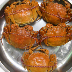 固城湖螃蟹的加盟优势有哪些？现在加盟晚吗？