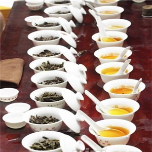 加盟麻姑生态茶，需要注意哪些？