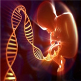 胎儿无创基因加盟