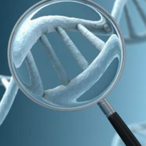 赛纳生物生物基因加盟和其他新行业加盟品牌有哪些区别？赛纳生物生物基因品牌优势在哪里？