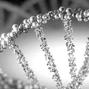 博宁洛克生物基因加盟和其他新行业加盟品牌有哪些区别？博宁洛克生物基因品牌优势在哪里？