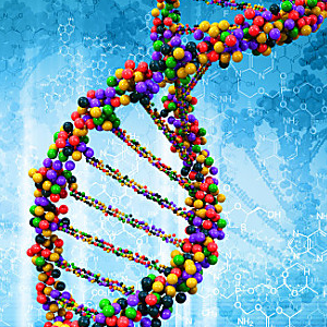 加盟佳学基因你知道哪些优势？