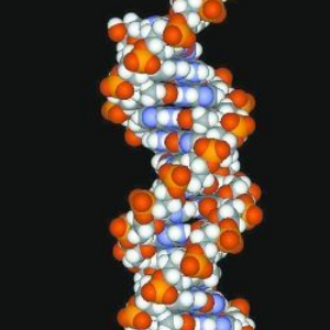 加盟益序缓解基因，需要注意哪些？