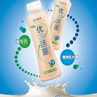 阳光乳业酸奶加盟