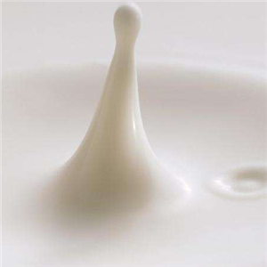 梁丰牛奶的加盟优势有哪些？现在加盟晚吗？