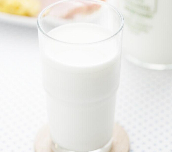 琴牌牛奶加盟需要哪些条件？人人都可以加盟琴牌牛奶吗？