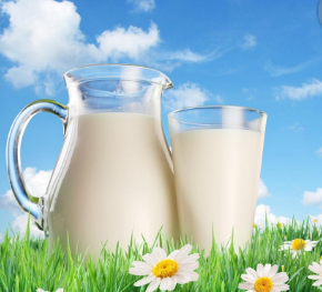 加盟庄园牧场牛奶有哪些优势，加盟庄园牧场牛奶品牌须知