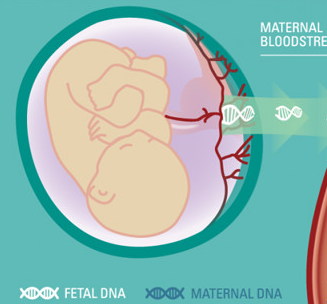胎儿无创基因检测加盟