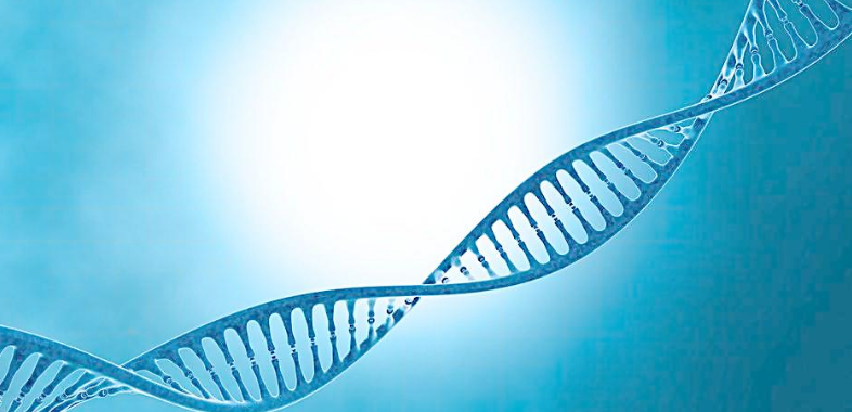 IMH生物技术基因加盟