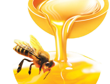 蜂之源蜂蜜加盟，零经验轻松经营好品牌！