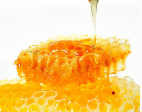 老蜂农保健蜂蜜加盟费用多少？蜂产品加盟选它合适吗？