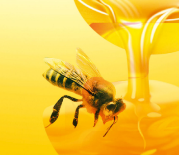 蜂产品看哪家?山萃蜂蜜加盟最实惠
