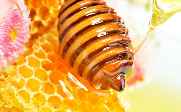 颐峰堂生态蜂蜜加盟