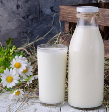 奶牛梦工厂牛奶加盟信息介绍，让您创业先走一步！