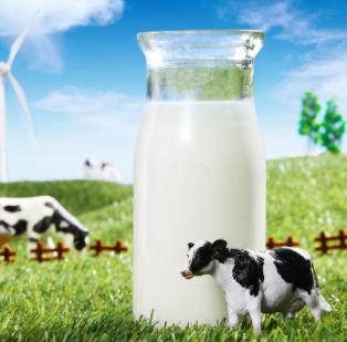 广州燕塘牛奶加盟流程如何？如何加盟广州燕塘牛奶品牌？