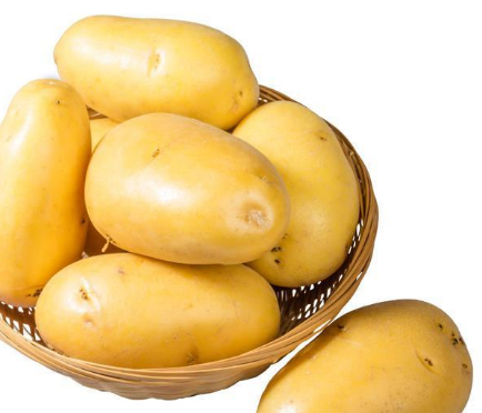 康莱纳风味土豆泥粉加盟优势有哪些？了解优势从康莱纳风味土豆泥粉介绍下手